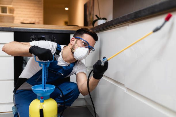 Pest Prevention Services in Soddy Daisy, TN