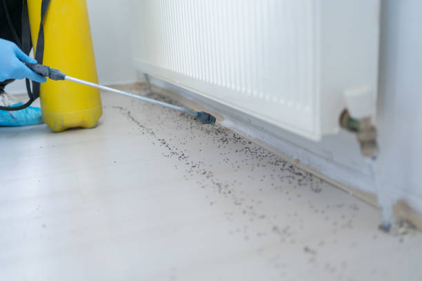 Best Pest Removal Services  in Soddy Daisy, TN